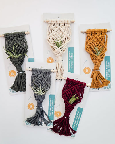 Three mini magnetic macrame air plant hangers in army green, gray, and natural colors displayed on a wooden surface with air plants nestled inside.