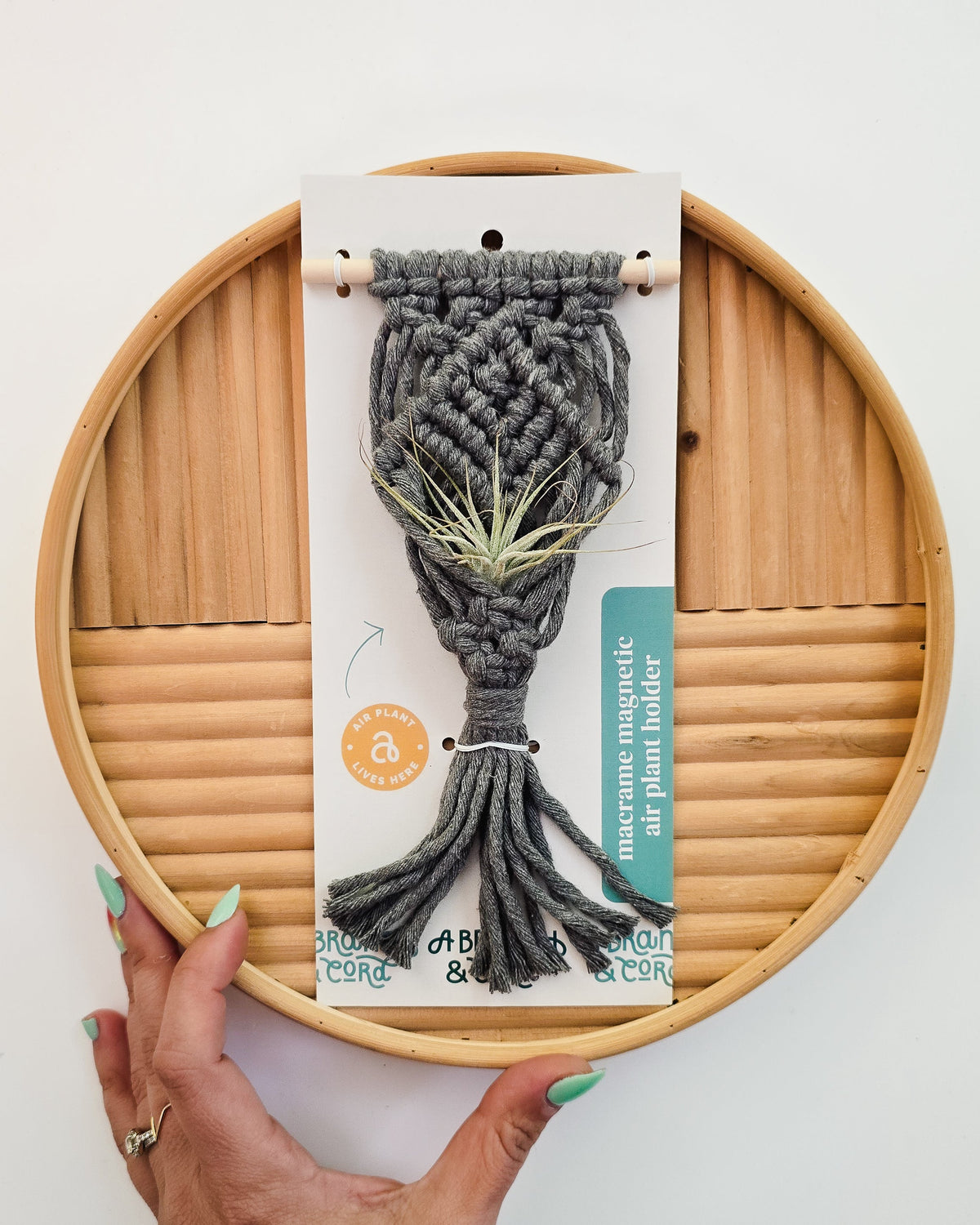 Mini macrame air plant holder in dark gray cotton rope with a woven diamond pattern, suspended on a small wooden dowel, displayed on round bamboo tray with hand visible.