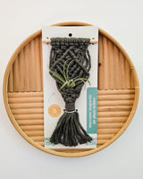 Small dark gray macrame air plant holder with a green air plant attached, displayed on a circular wooden tray with varied panel textures.
