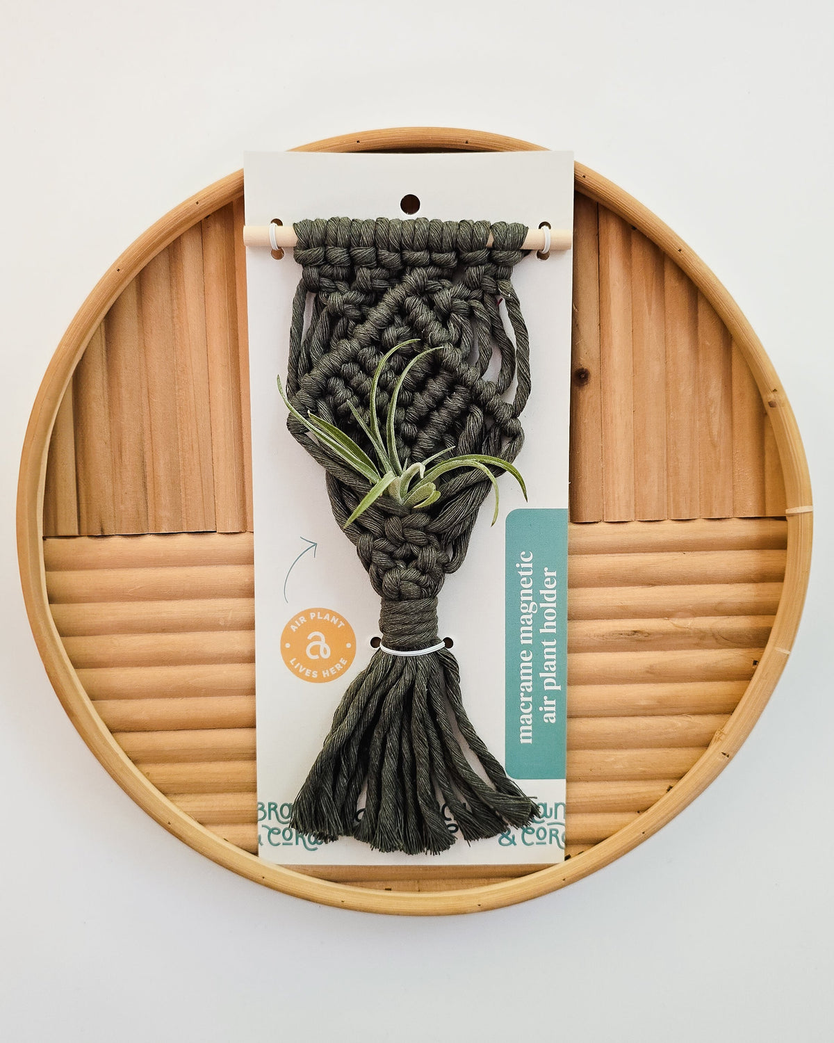 Small dark gray macrame air plant holder with a green air plant attached, displayed on a circular wooden tray with varied panel textures.