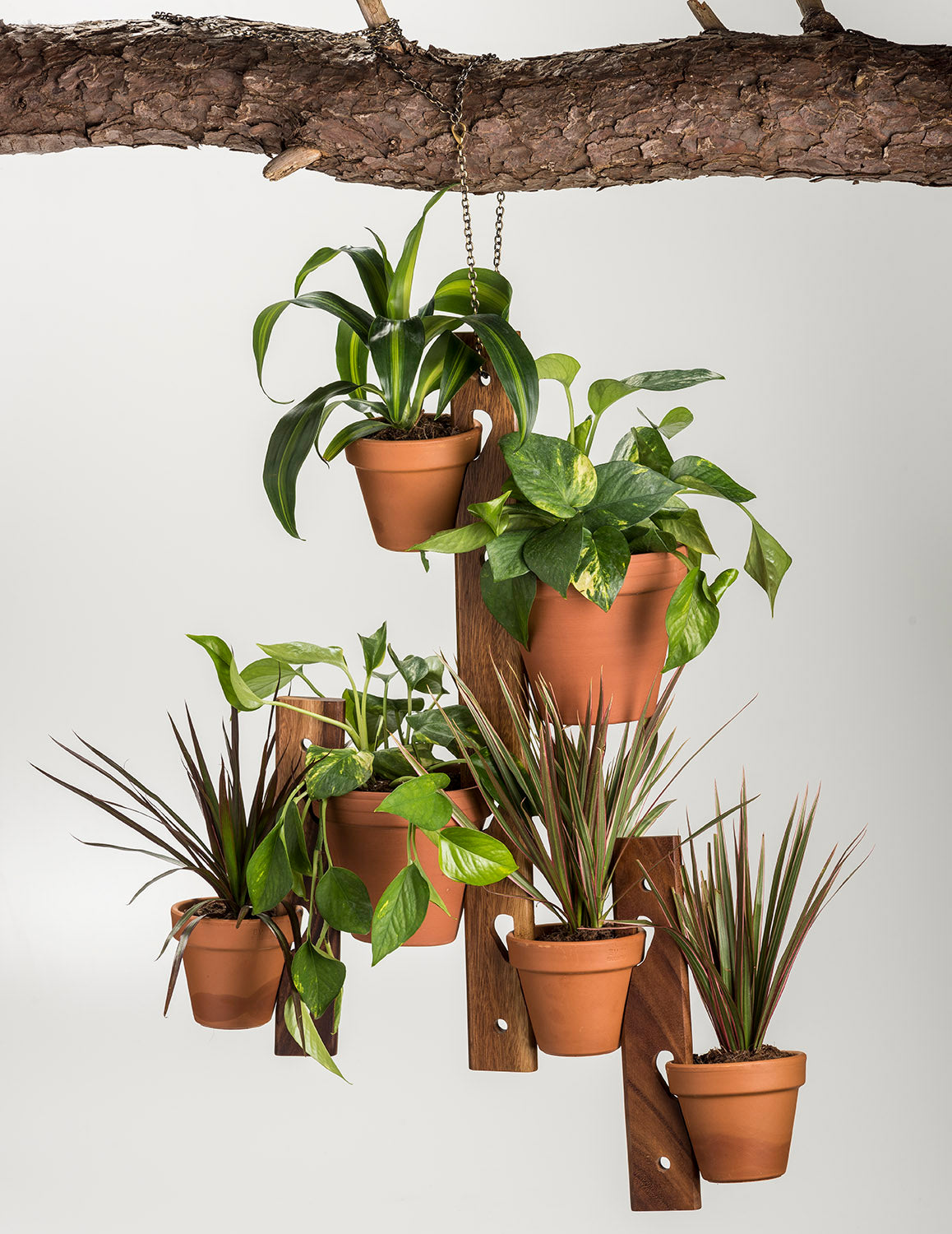 6 Pot Hanging Plant Holder - 3 piece set by Kalmar Home - product image 3 for Resin Society
