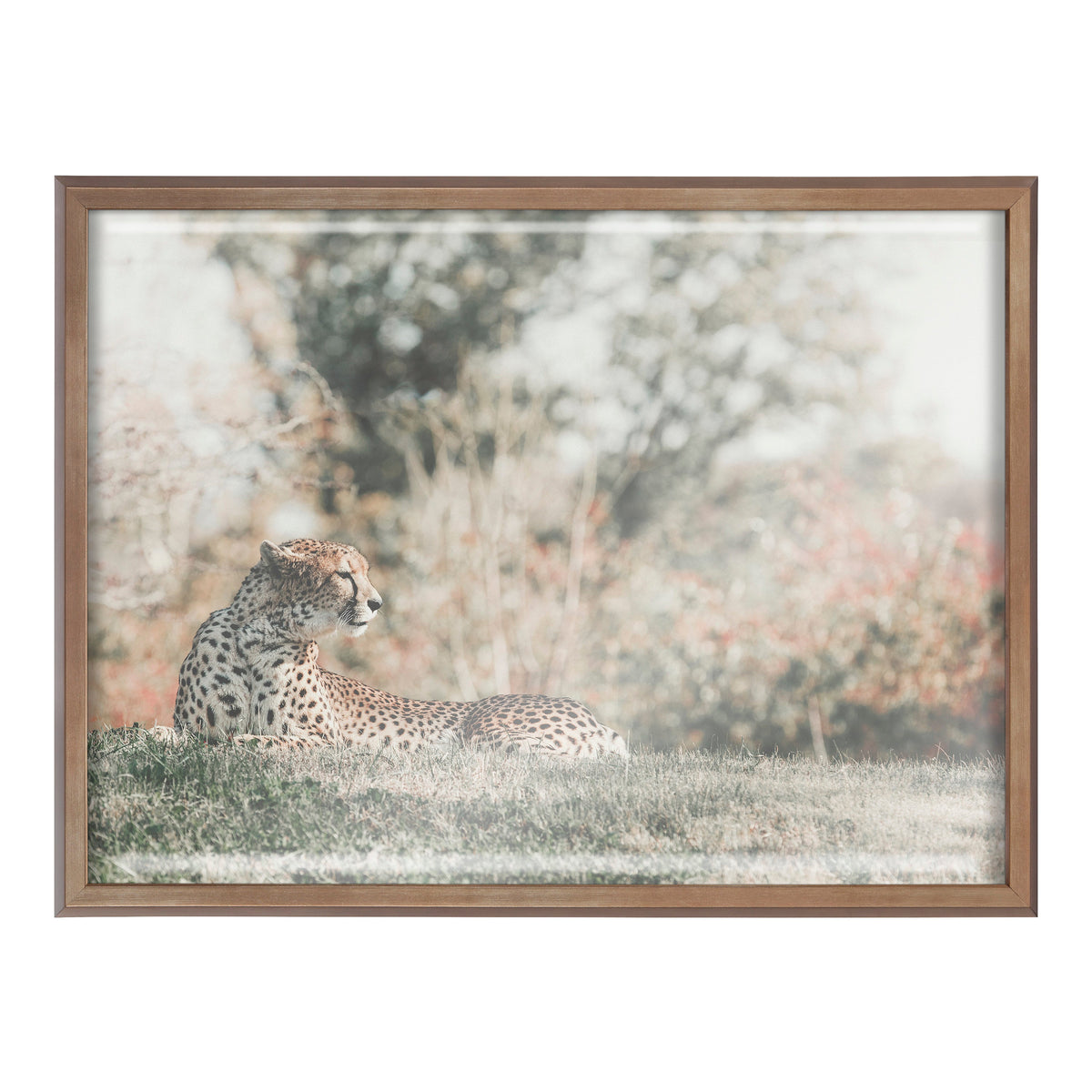 Blake Cheetah Framed Printed Glass by Alicia Abla by kateandlaurel - product image 2 for Resin Society