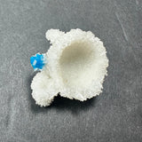White crystallized stilbite formation with a striking small bright blue cavansite crystal attached, displayed on a gray background