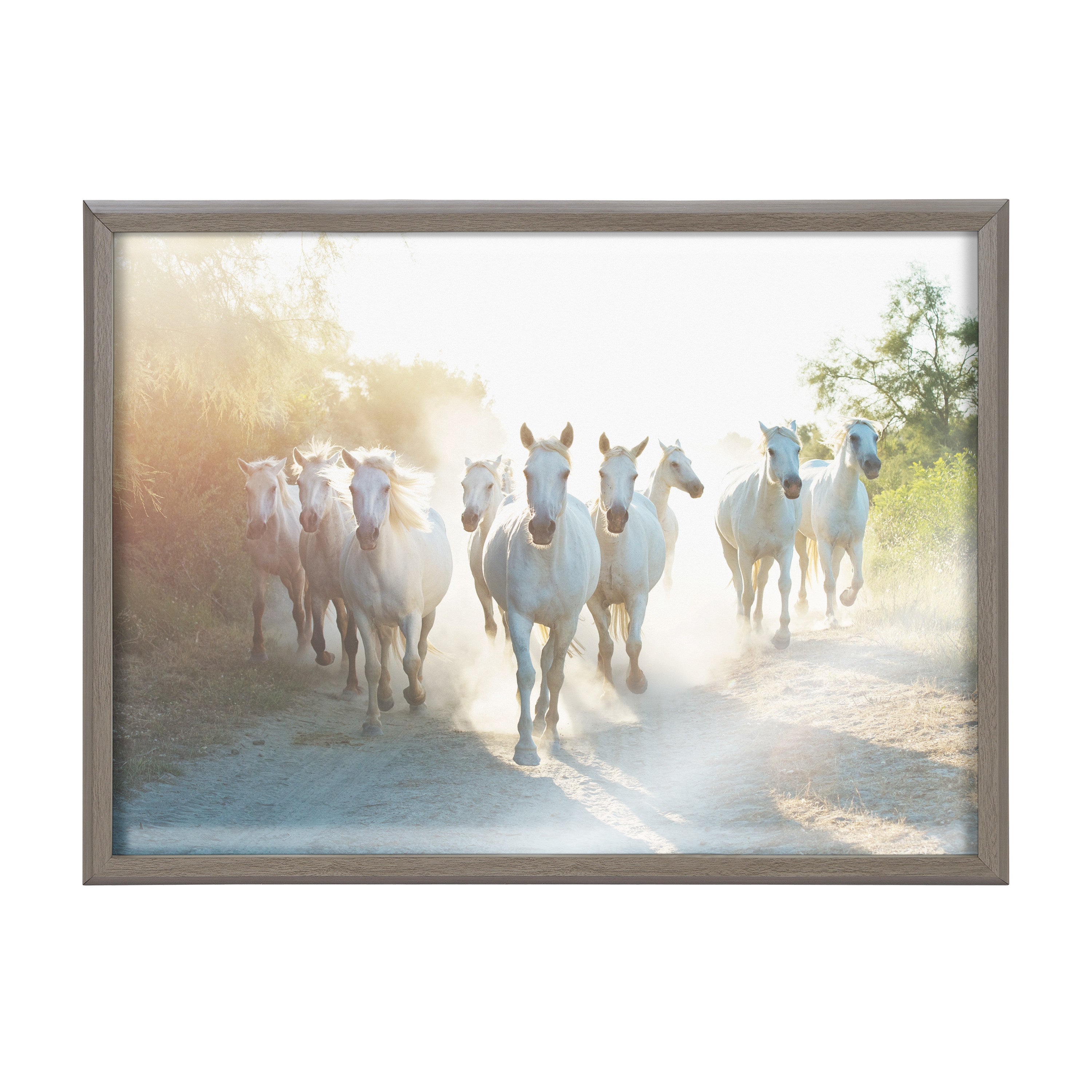 Blake Camargue Horse XIII Framed Printed Glass by Laura Evans by kateandlaurel - product image 2 for Resin Society