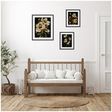 Three framed floral art prints with cream and pink flowers on black backgrounds arranged above a wooden bench with white cushions in a bright room with light wood floors.