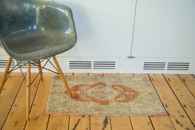 2x3 Fine Antique Haji Jalili Rug Mat by Old New House® - product image 3 for Resin Society