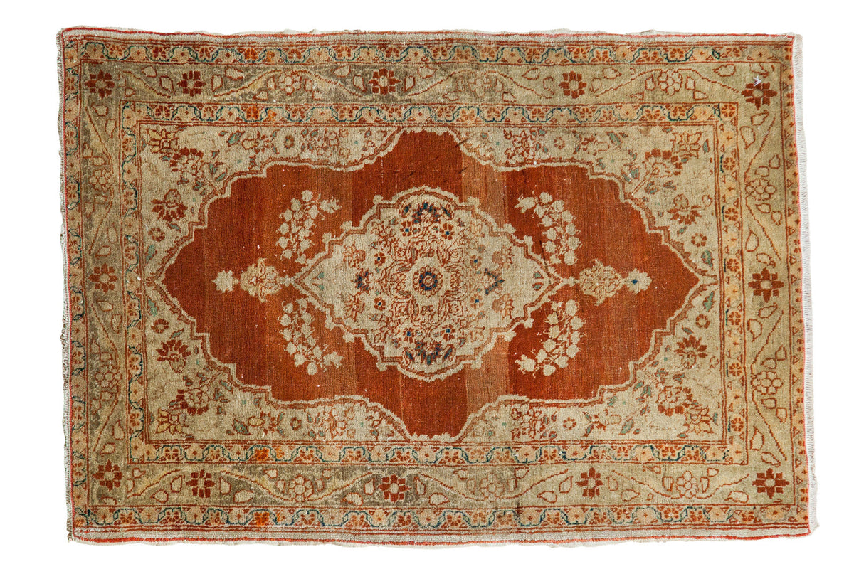 2x3 Fine Antique Haji Jalili Rug Mat by Old New House® - main product image for Resin Society