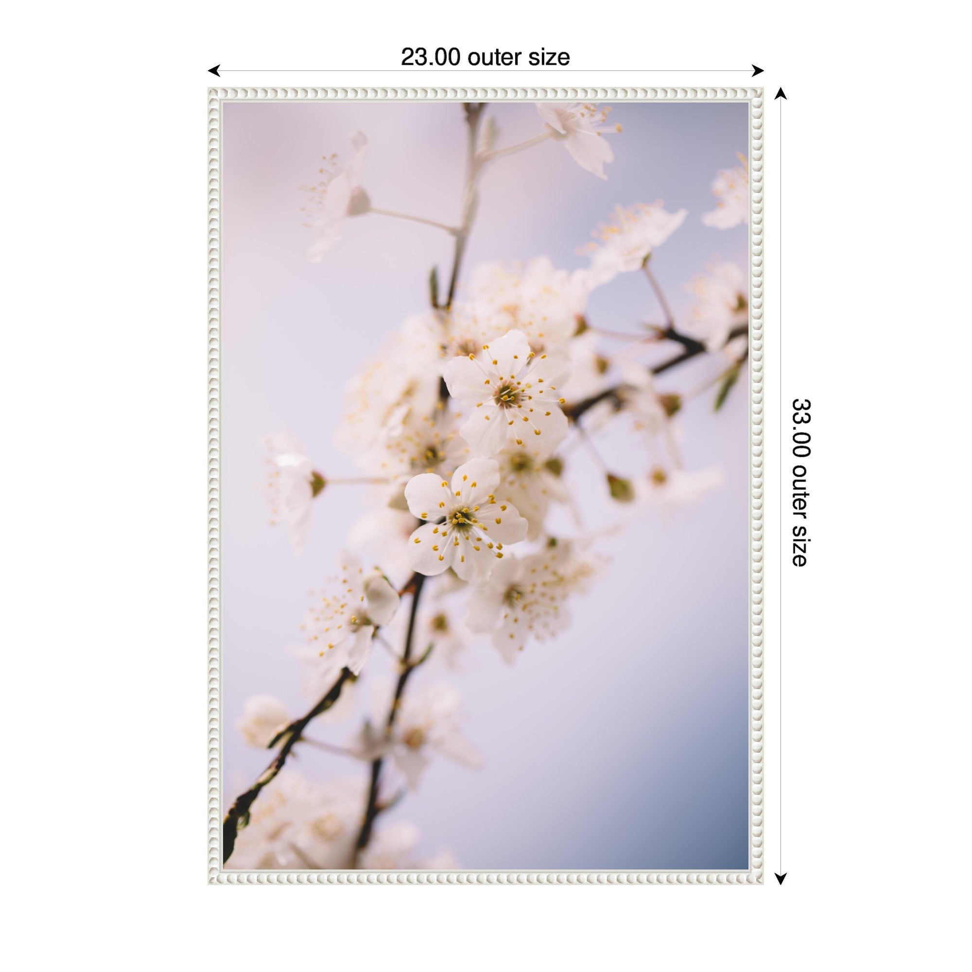 Sylvie Nature White Floral Blooms Framed Canvas by Patricia Hasz