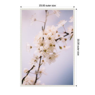 Sylvie Nature White Floral Blooms Framed Canvas by Patricia Hasz