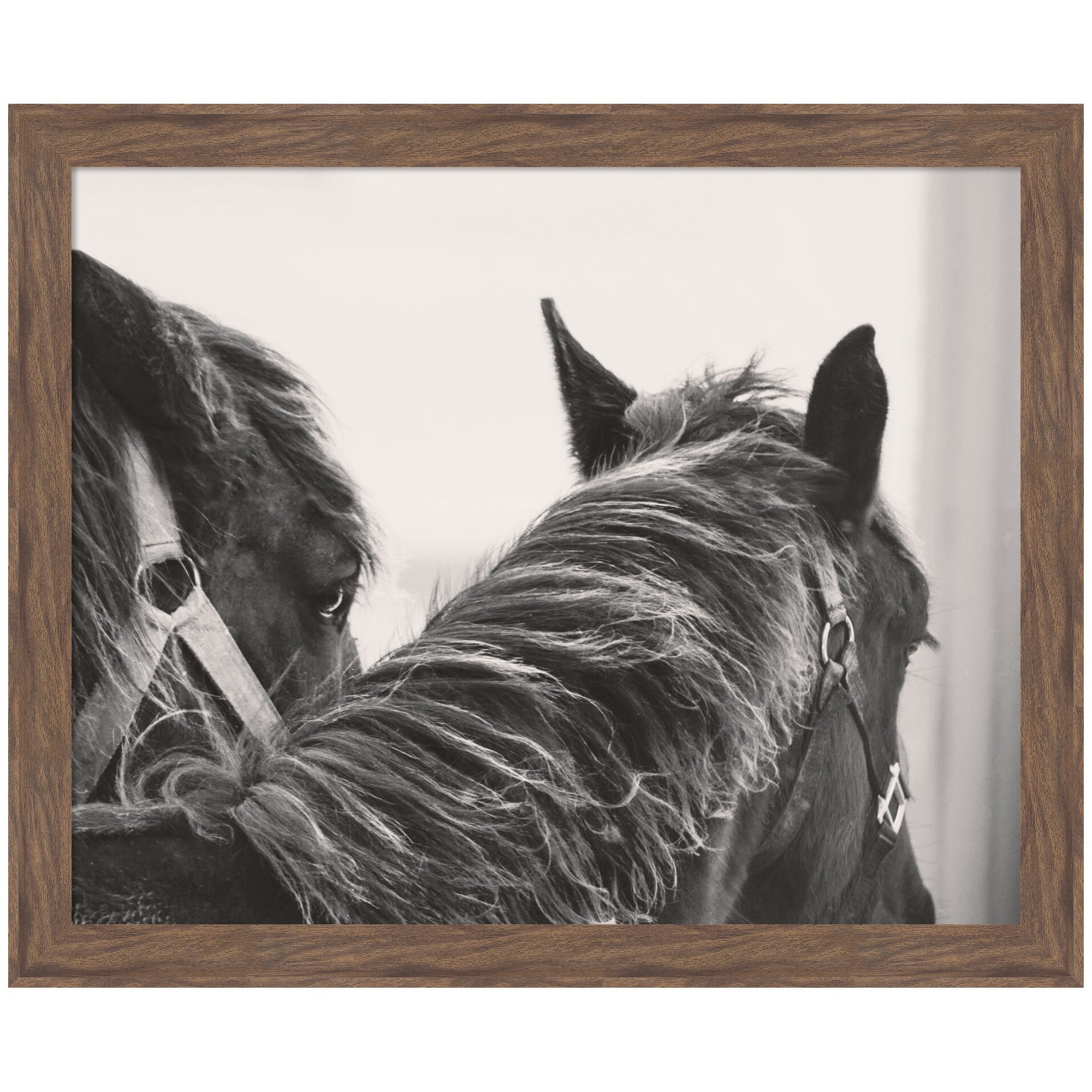 Framed Black Horses wall art print featuring two black horses in motion, shown in a room setting.