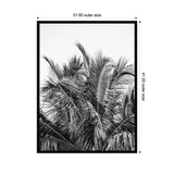Black and white framed photograph of dense palm tree leaves with feathery fronds overlapping against a bright sky, measuring 31 by 41 inches.