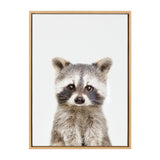 Portrait of a young raccoon with distinct black mask markings, fluffy gray fur, and small rounded ears, against a plain white background in a wooden frame.
