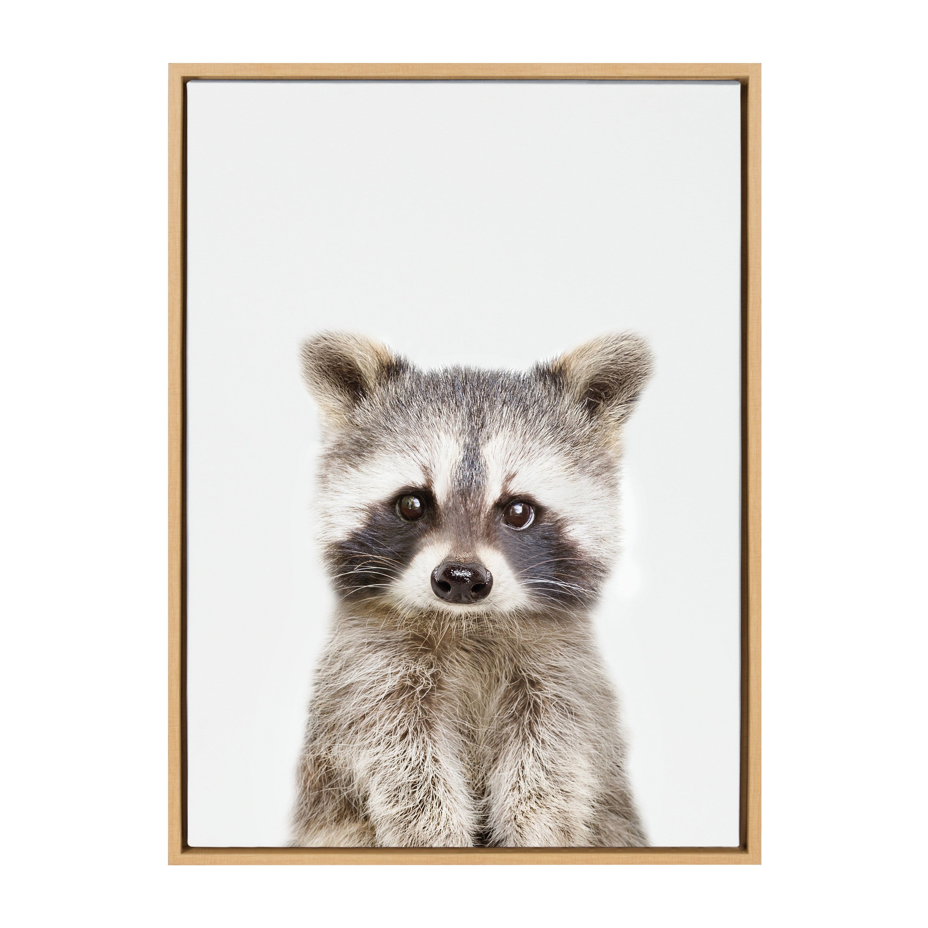 Sylvie Raccoon Framed Canvas by Amy Peterson Art Studio