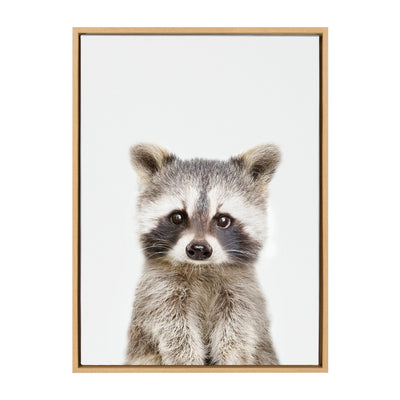 Sylvie Raccoon Framed Canvas by Amy Peterson Art Studio