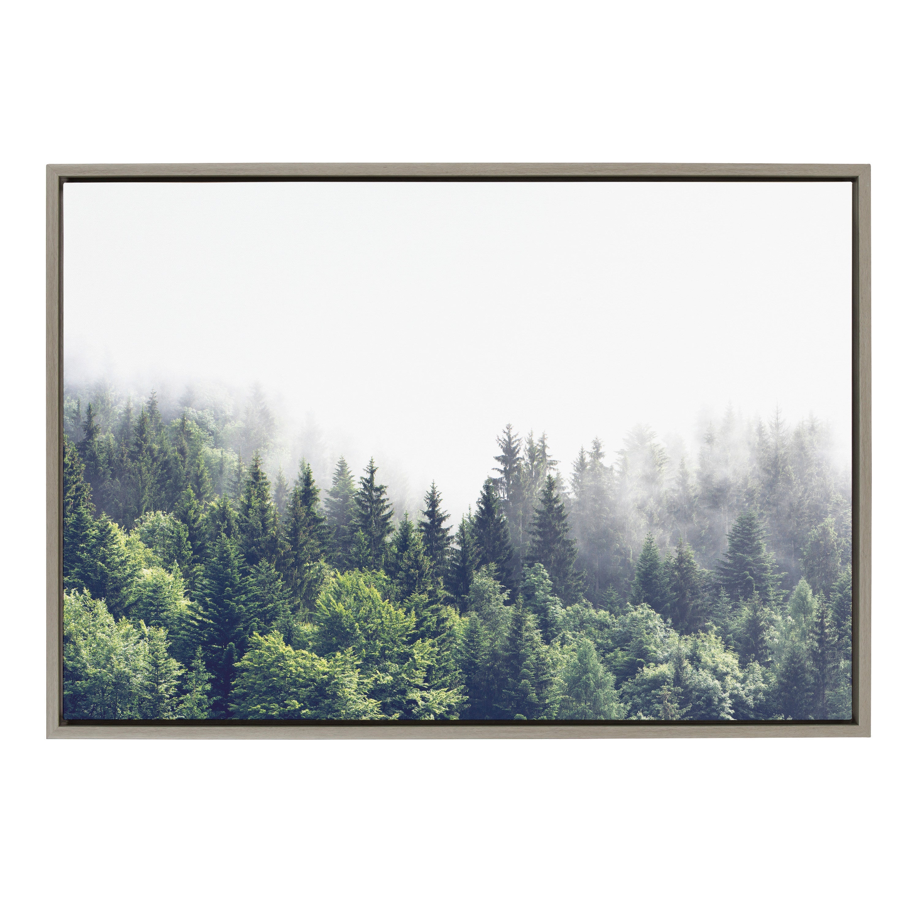 Sylvie Lush Green Forest On A Foggy Day Framed Canvas