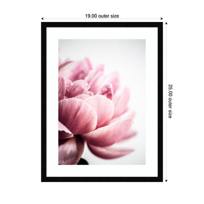 Pink Peony No1 by Mareike Bohmer Framed Wall Art Print