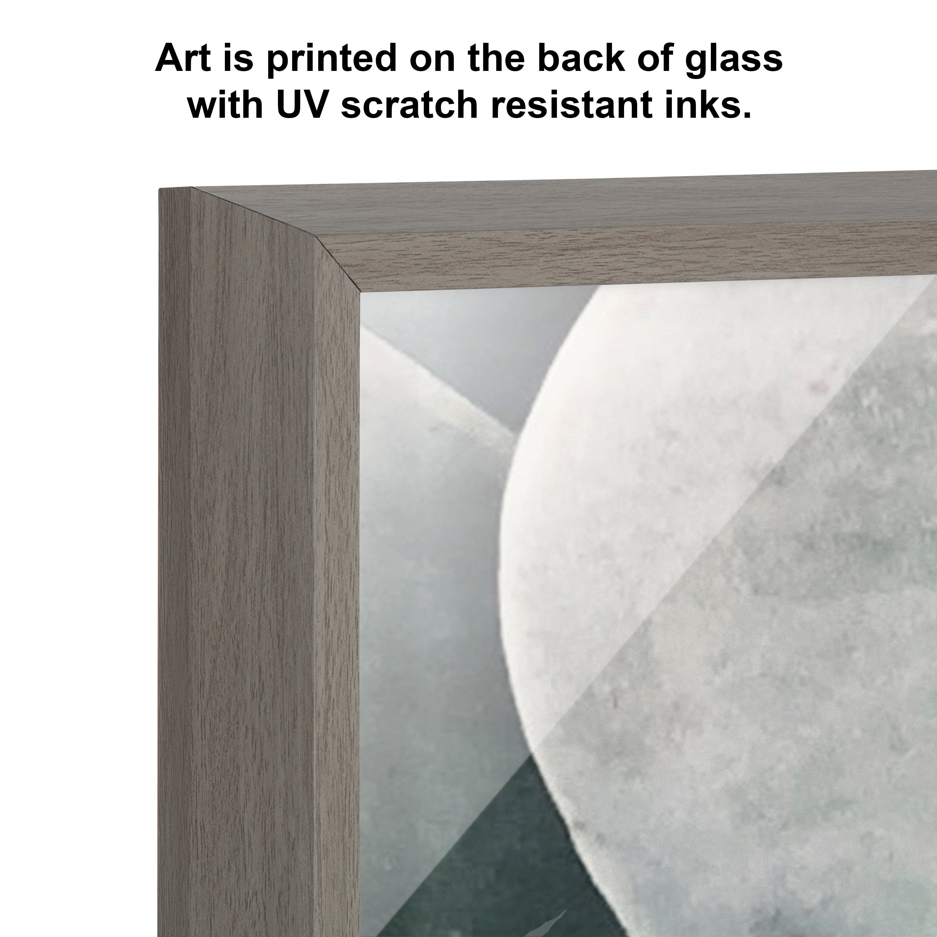 Blake Botanical Succulent Plants 3 Framed Printed Glass by The Creative by kateandlaurel - product image 3 for Resin Society
