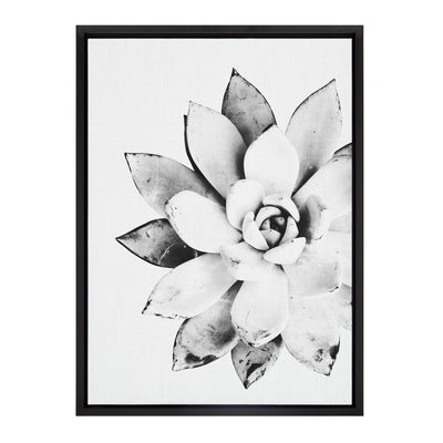 Sylvie Succulent Framed Canvas by Simon Te of Tai Prints