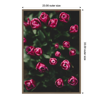 Sylvie Moody Dark Pink Tulips in Bloom Framed Canvas by Patricia Hasz