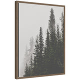 Framed canvas art showing tall pine trees emerging through thick fog in muted tones