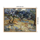 Vincent van Gogh's Olive Trees painting with twisting olive trunks and swirling blue-green foliage, framed in light wood measuring 38 by 28 inches.