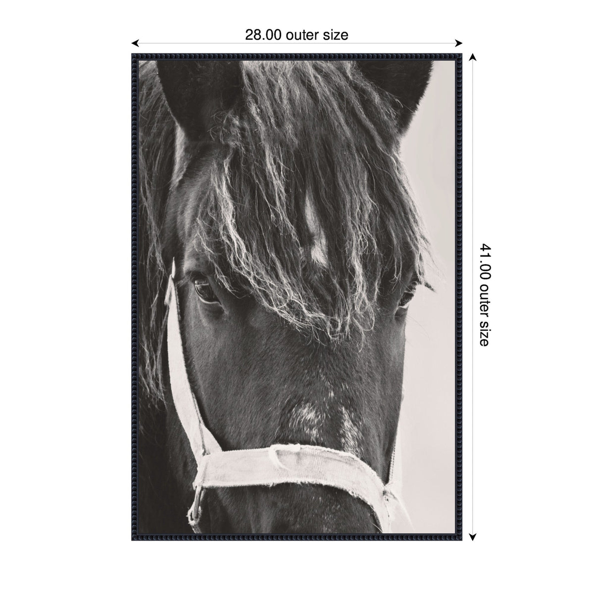 Close-up black and white portrait of a black horse's head, showing its textured mane and white halter, in a vertical canvas format framed with outer dimensions labeled.