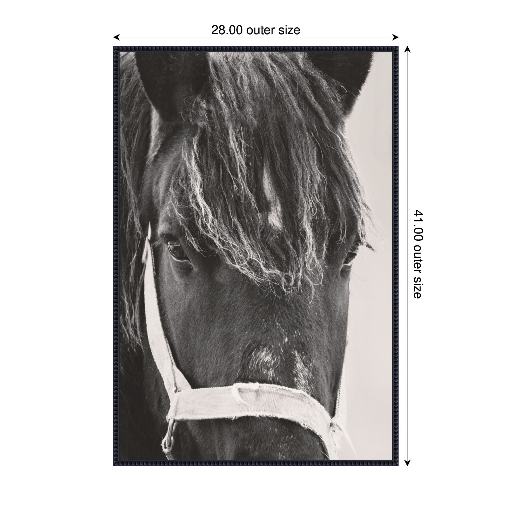 Black Horse by Emiko and Mark Franzen F2 Images Framed Canvas Wall Art Print
