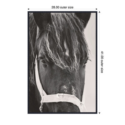 Black Horse by Emiko and Mark Franzen F2 Images Framed Canvas Wall Art Print
