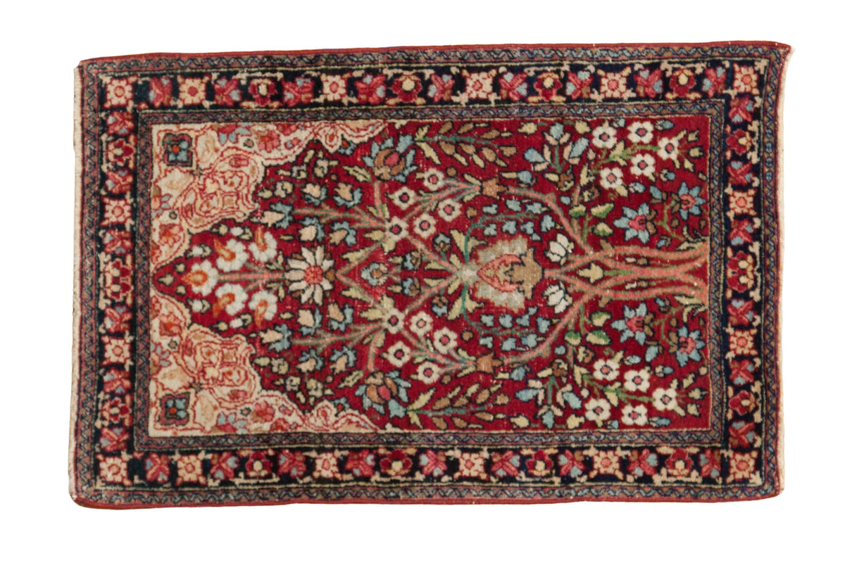 2x3 Antique Kerman Rug Mat by Old New House® - main product image for Resin Society