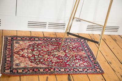 2x3 Antique Kerman Rug Mat by Old New House® - product image 3 for Resin Society