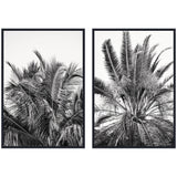 Two framed canvas prints titled Palms No.
13 and No.
15 by Alicia Bock featuring palm motifs in Sylvie Beaded frames.