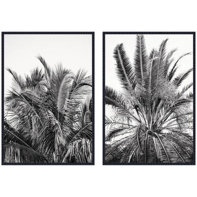 Two framed canvas prints titled Palms No.
13 and No.
15 by Alicia Bock featuring palm motifs in Sylvie Beaded frames.