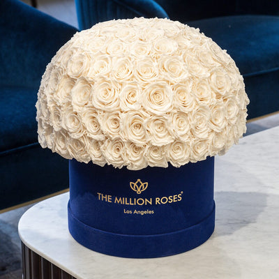 Supreme Royal Blue Suede Superdome Box by The Million Roses - product image 5 for Resin Society