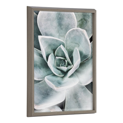 Blake Botanical Succulent Plants 3 Framed Printed Glass by The Creative by kateandlaurel - main product image for Resin Society