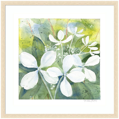 Framed Art White Phantom Hydrangea in Greens by Patricia Shaw
