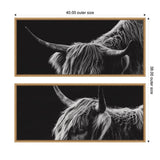 Two framed black and white canvases showing close-ups of a Highland cow's head with long curved horns and shaggy hair against a dark background.