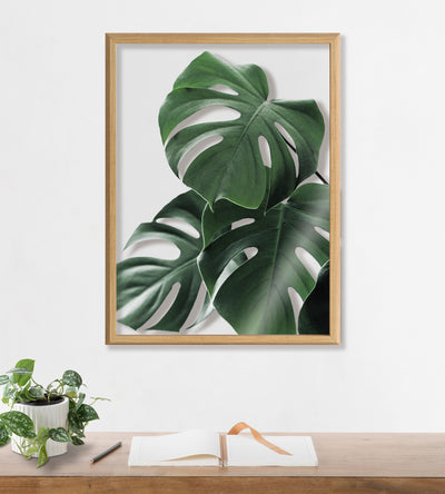 Blake Monstera leaves Framed Printed Glass by Amy Peterson Art Studio by kateandlaurel - product image 7 for Resin Society