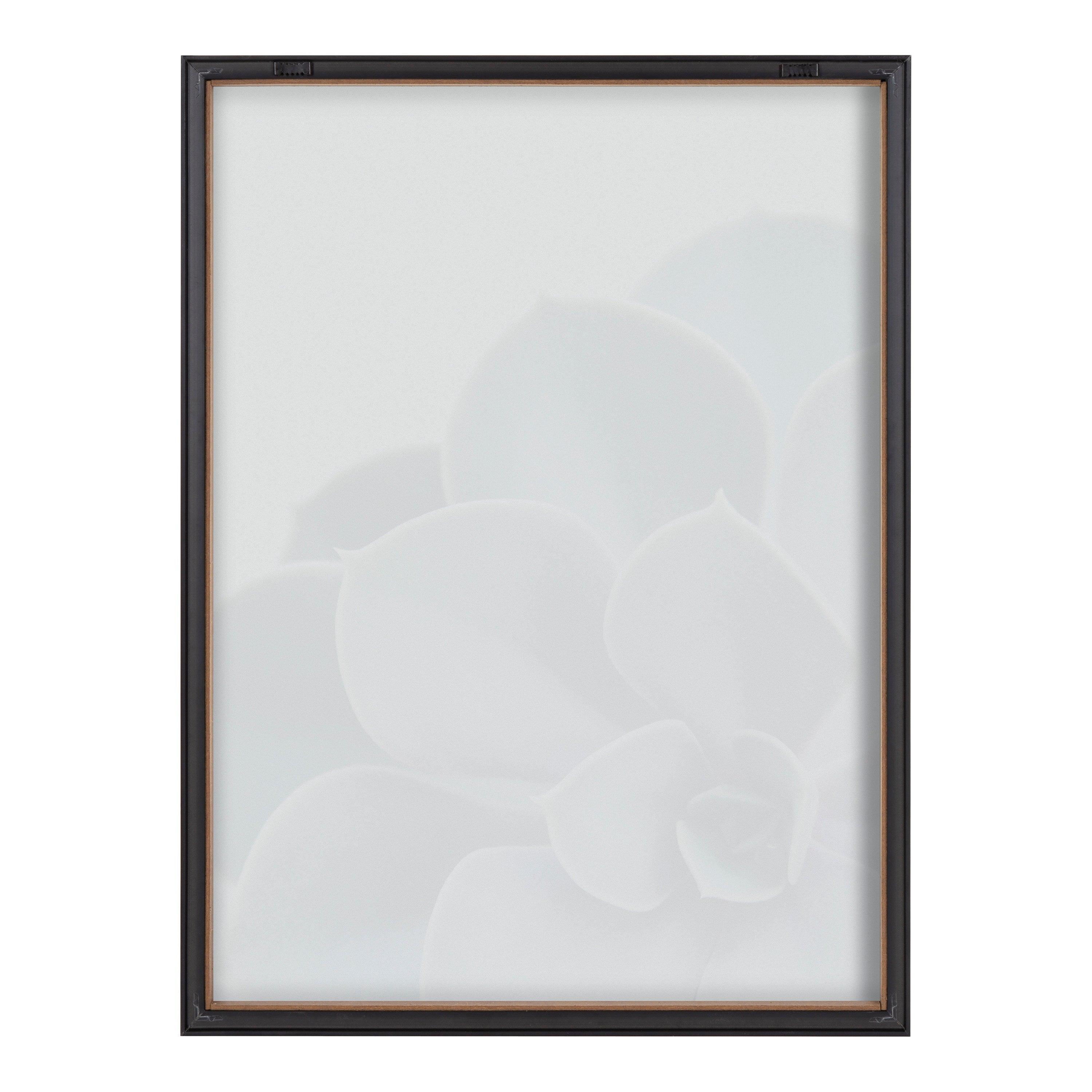 Blake Succulent 5 Framed Printed Glass by kateandlaurel - product image 4 for Resin Society