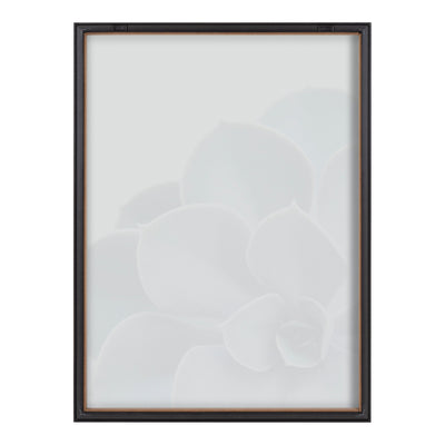 Blake Succulent 5 Framed Printed Glass by kateandlaurel - product image 4 for Resin Society