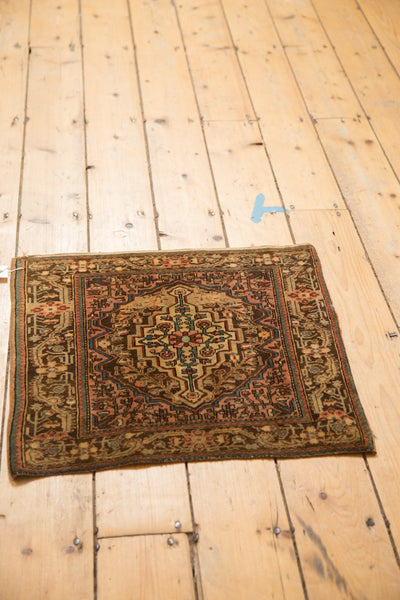 2x2 Vintage Josan Sarouk Square Rug Mat by Old New House® - product image 5 for Resin Society