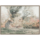 Framed canvas showing a cheetah resting on grass with its head turned to the left, against a softly blurred background of trees and autumnal foliage.