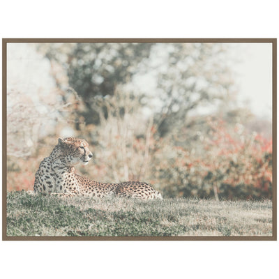 Sylvie Cheetah Glance Framed Canvas by Alicia Abla