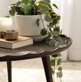 Close-up of a dark brown Alessia round table with a scalloped edge, holding a white potted plant with round green leaves, a closed book, and candles.
