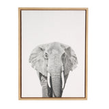 Black and white frontal sketch of an elephant with detailed textured ears and trunk, framed in light wood against a white background.