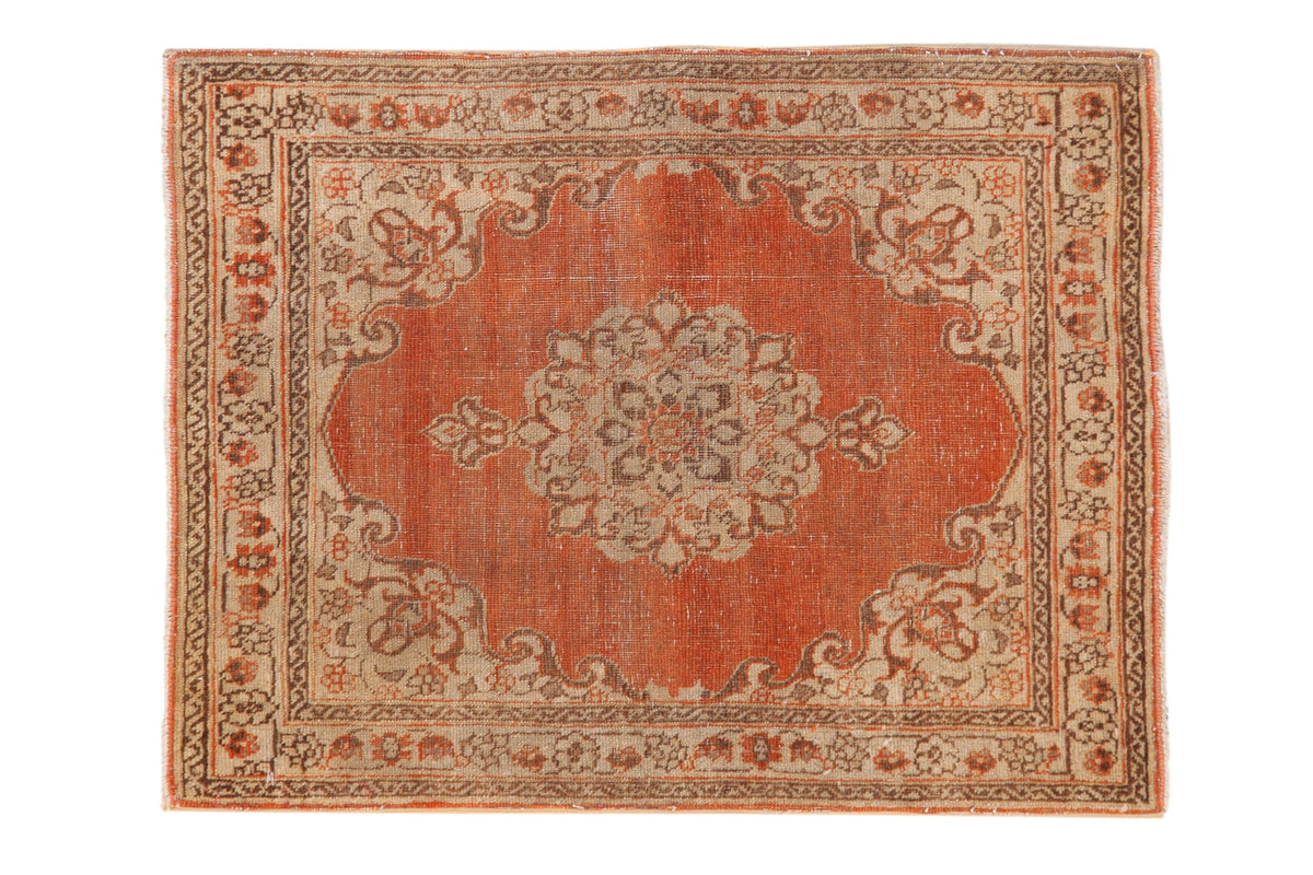 2x2.5 Distressed Antique Jalili Tabriz Rug Mat by Old New House® - main product image for Resin Society