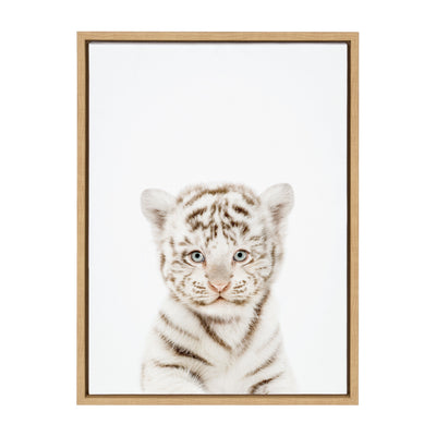 Sylvie Animal Studio Baby White Tiger Framed Canvas by Amy Peterson Art Studio