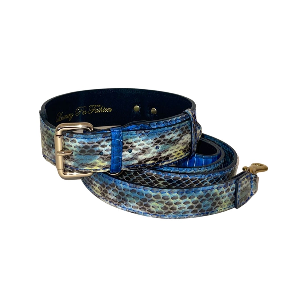 Stunning Multi-Blue Tone Snake Classic Collar & Leash Set showing blue snake patterned collar and matching leash