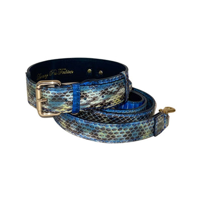 Stunning Multi-Blue Tone Snake Classic Collar & Leash Set showing blue snake patterned collar and matching leash