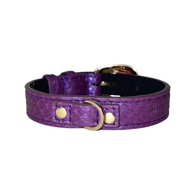 XS/S 7”-14” Iridescent Purple Custom Snake Collar with Custom Gold Italian Hardware