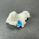 Irregular white stilbite crystal cluster with a small, vibrant blue cavansite formation nestled at its center, shown against a gray background.